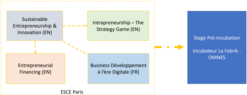 international entrepreneurship & consulting - programme 2ème année